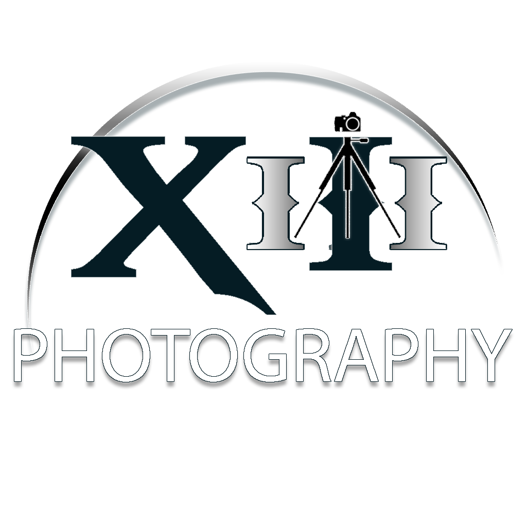 Découvrez la signature visuelle de Treize Photography : un logo simple, artistique, et authentique à l’image de ses photographies.
