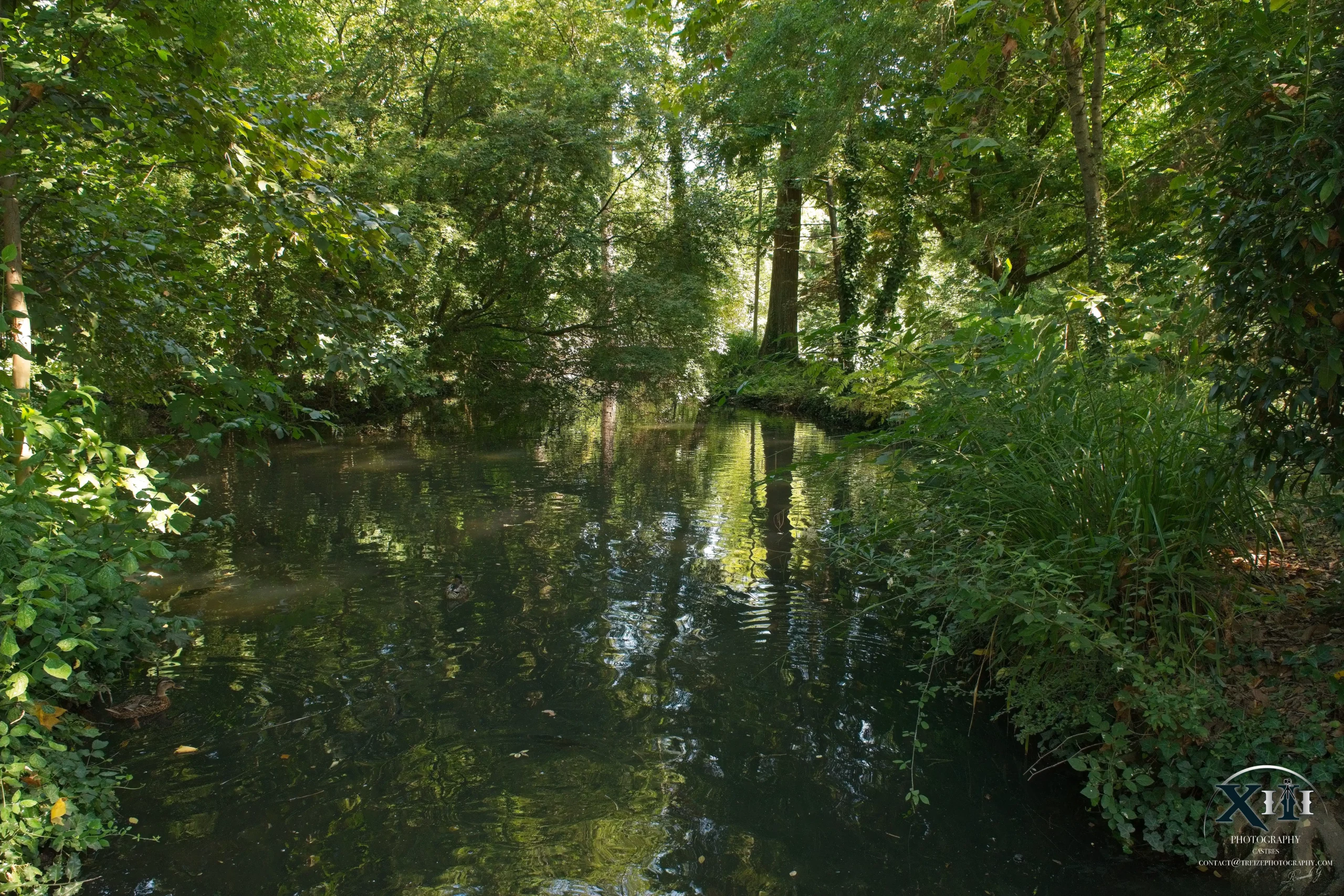 Albi-Parc-Rochegude-Tarn-Occitanie Parc Rochegude à Albi, Tarn, Occitanie – arbres, pelouses et allées pour promenade et détente en ville.